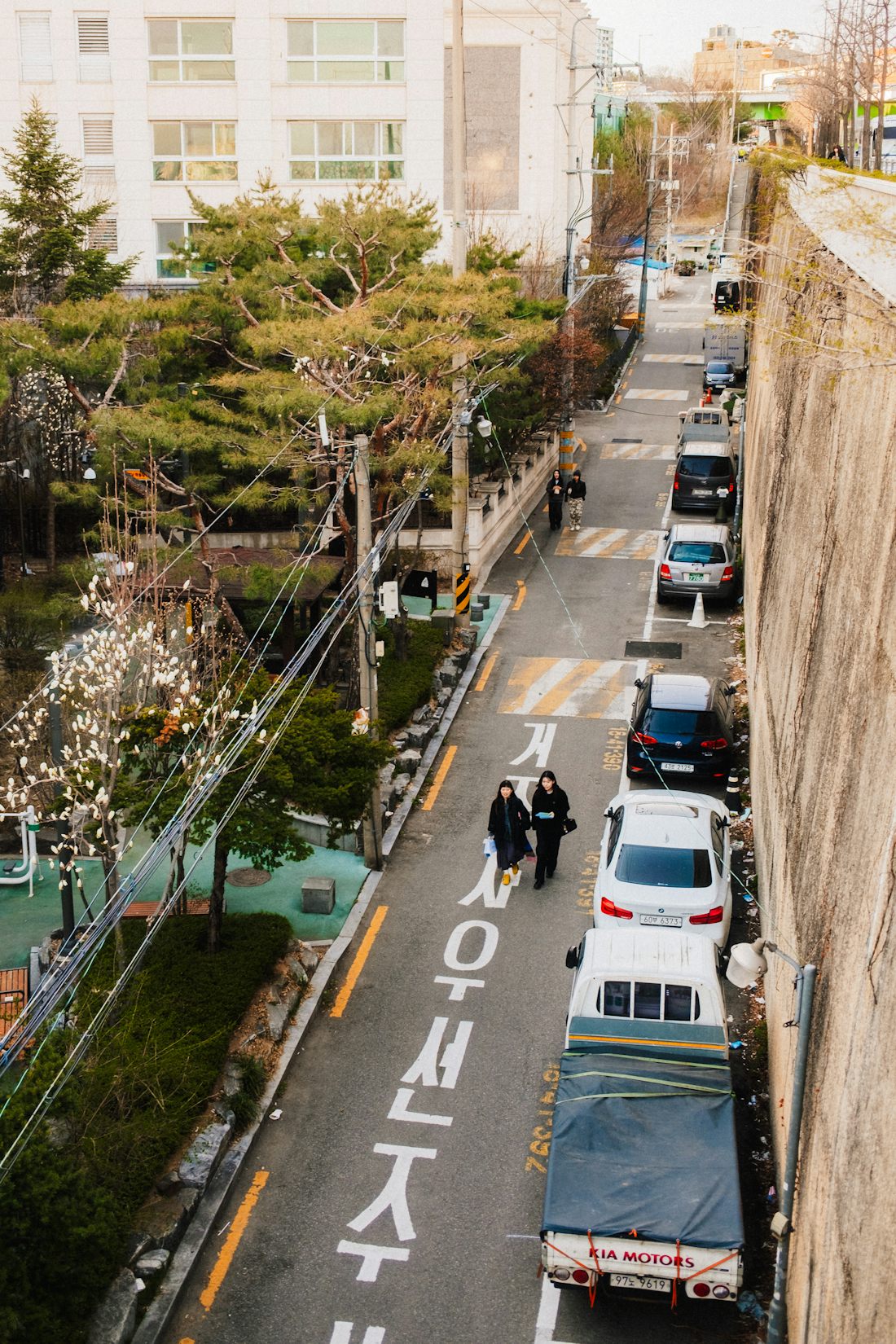 목련이 핀 한국의 동네 골목길